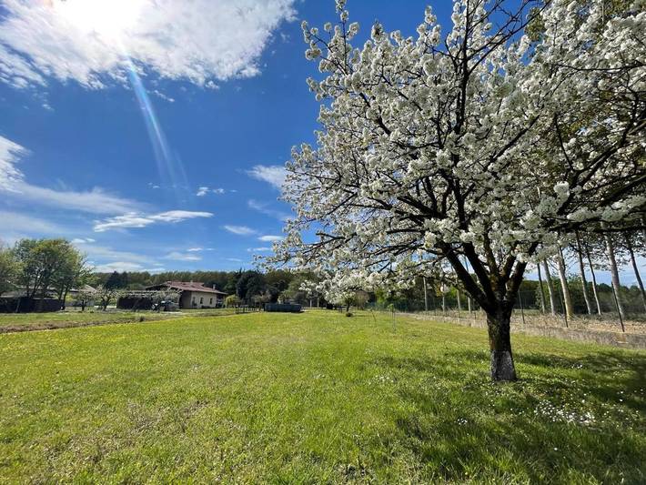 Location de vacances pour 2 personnes, avec jardin ainsi que jacuzzi et piscine à Palazzolo dello Stella - 4