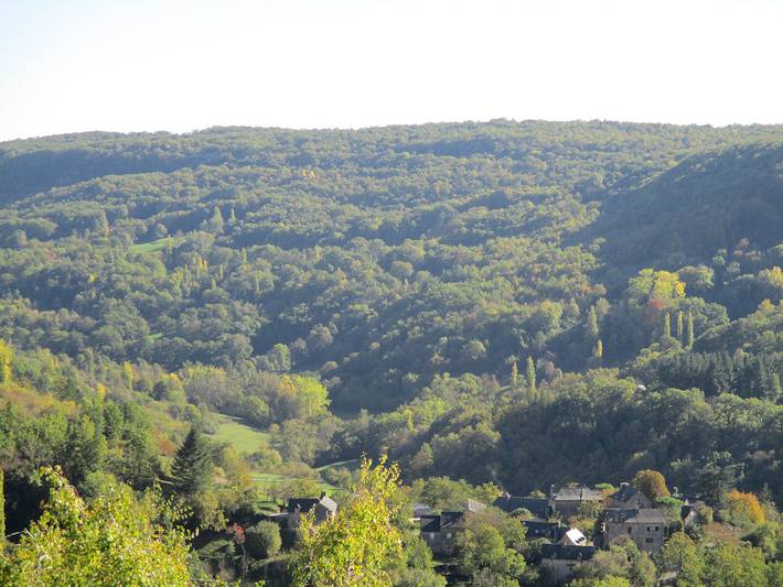 Studio pour 2 personnes, avec jacuzzi et jardin ainsi que piscine et terrasse, animaux acceptés