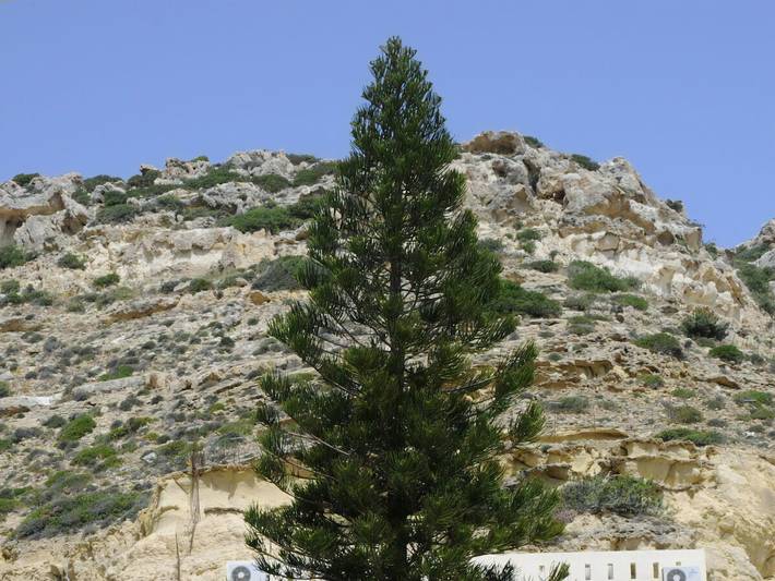 Location de vacances pour 2 personnes, avec jardin dans Matala - 3