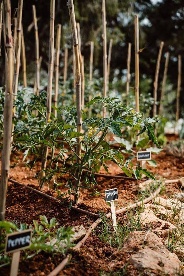 Can Vistabella Boutique Resort in Bella Vista (Ibiza), Sant Antoni de Portmany