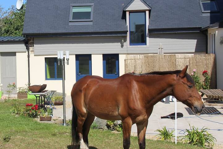 Maison de vacances pour 4 personnes, avec jardin et terrasse - 1