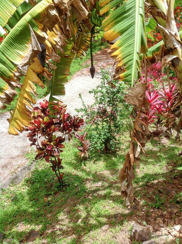 Location de vacances pour 4 personnes, avec terrasse dans Plage de Petite Anse - 2