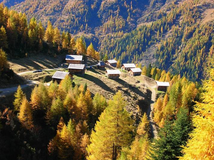Berghütte für 7 Personen, mit Garten, mit Haustier in Tirol - 3
