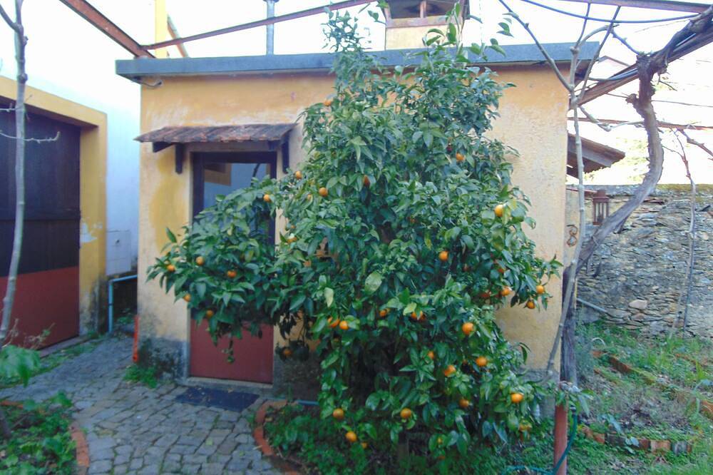 Casa Magnolia- Casa Rural da Magnólia, na aldeia de Carvoeiro in Macinhata do Vouga, Distrito de Aveiro