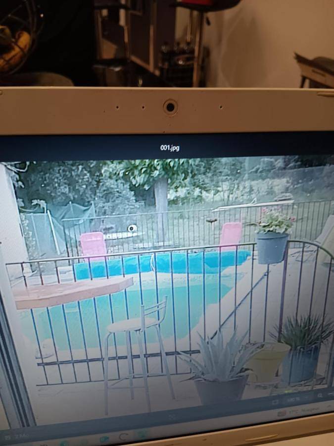 Location de vacances pour 8 personnes, avec terrasse et vue ainsi que sauna et piscine, animaux acceptés à Cabrières (Gard) - 4