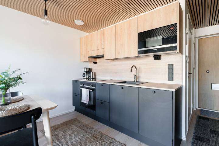 Ganze Wohnung, Fabulous Modern Top Floor Loft Apartment in Historical Pyynikki Neighborhood in Pirkanmaa