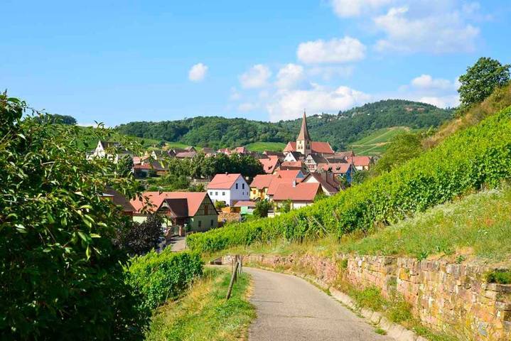 Gîte pour 3 personnes, avec vue et jardin, animaux acceptés à Niedermorschwihr - 3