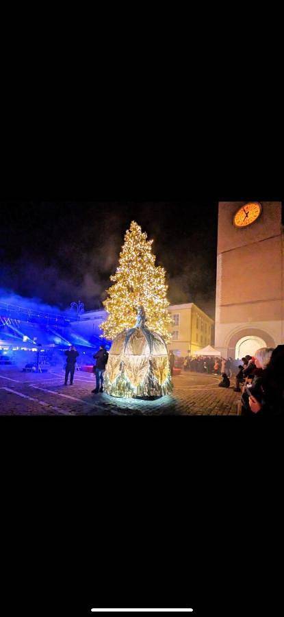 Chambre d’hôte pour 4 personnes, avec vue et terrasse, animaux acceptés à Fano - 3