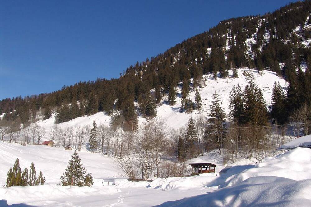 Ganze Wohnung, Kugelhorn, Haus Dora in Hinterstein, Bad Hindelang