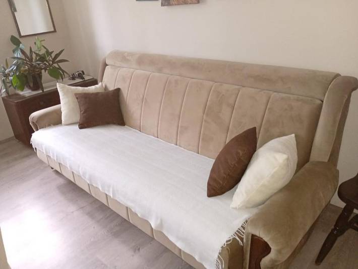 Gîte pour 4 personnes, avec terrasse, animaux acceptés à Despotovac - 2