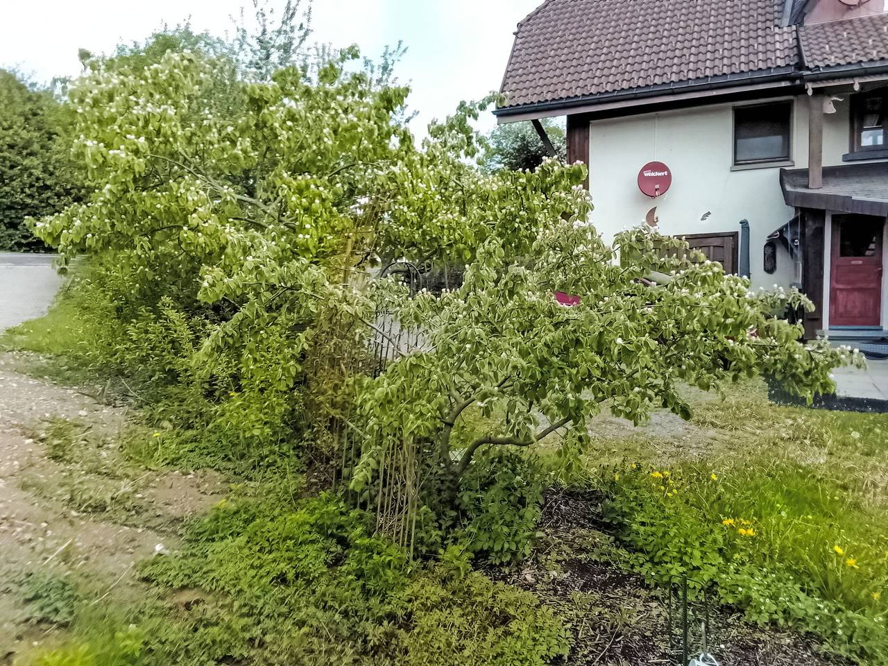 Ganze Wohnung, Wannenhof Romantik in Bernau im Schwarzwald, Südschwarzwald