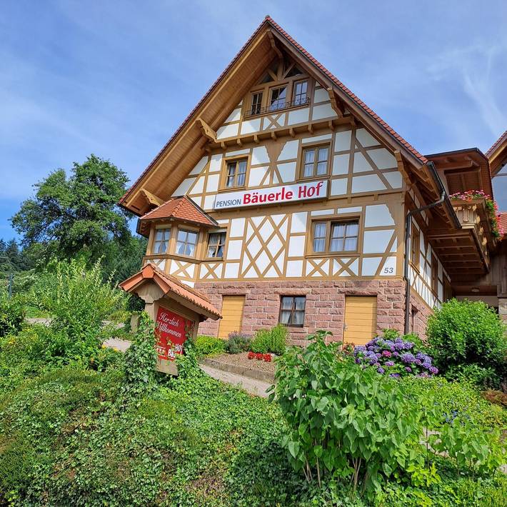 Pension für 2 Personen, mit Balkon/Terrasse in Nationalpark Schwarzwald - 3