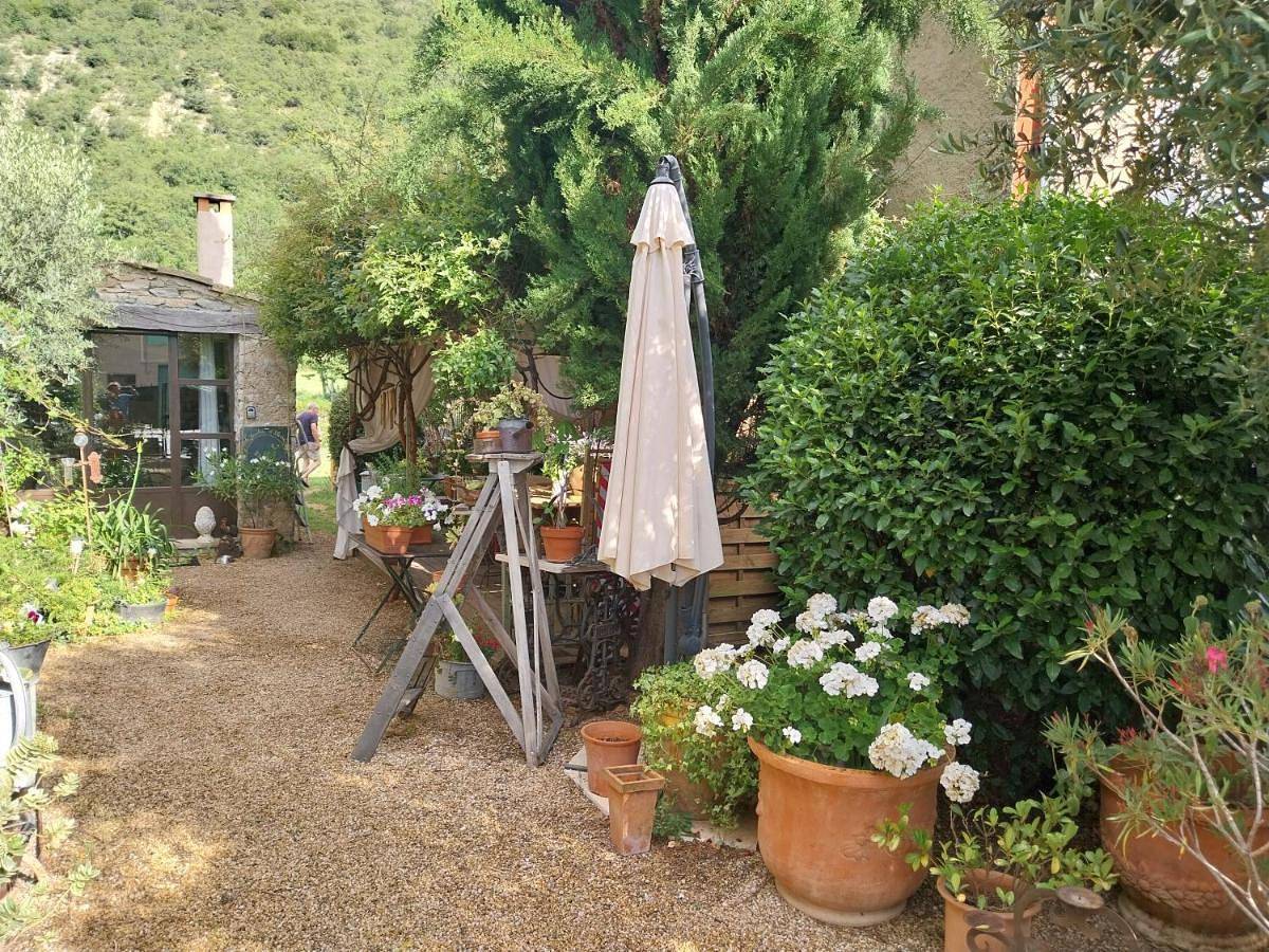 L'olivier sur la place in La Rochegiron, Région de Forcalquier