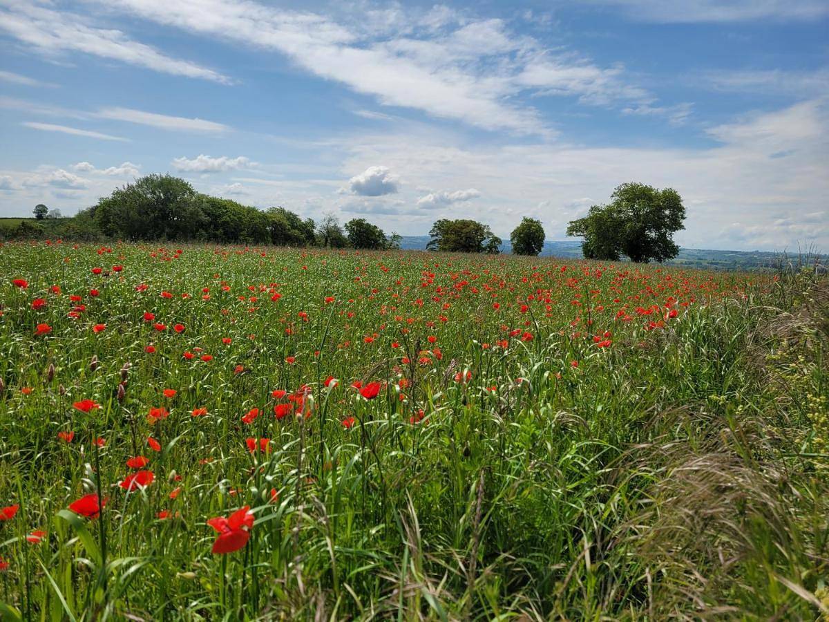 Holiday Home in Clairvaux-d'Aveyron, Aveyron