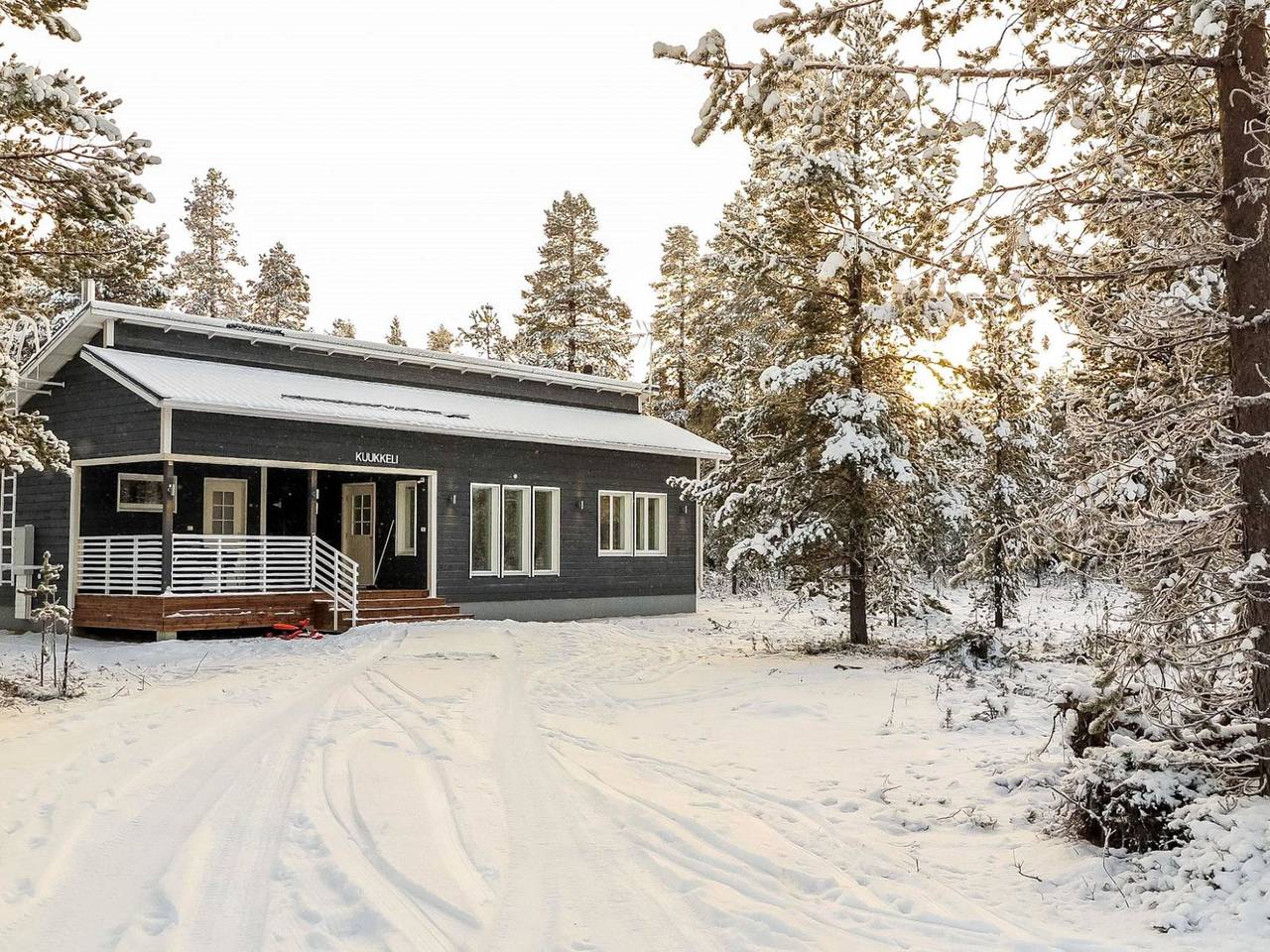 Kuukkeli in Lappland