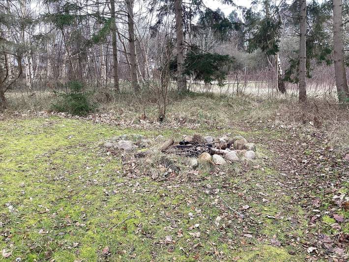 Ferienhaus für 12 Personen, mit Haustier in Lolland-Falster - 4