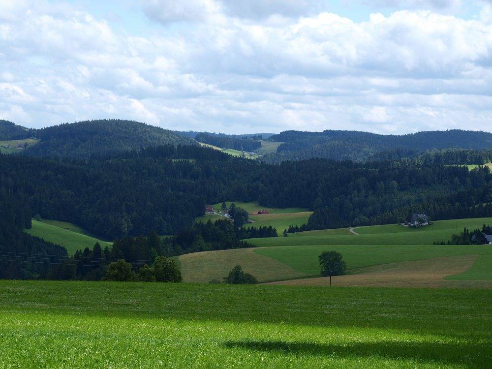 Schreinerhäusle - Ferienwohnung Flieder in Sankt Märgen, St. Märgen