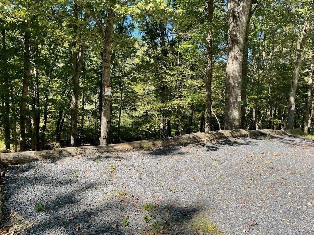 Peaceful 2 bedroom cottage in Lost River w/ stream in Seneca Rocks