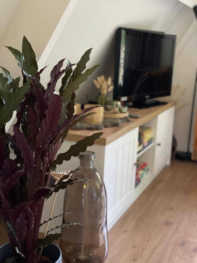 Location de vacances pour 5 personnes, avec bassin pour enfant et piscine ainsi que jardin et vue, adapté aux familles dans Septon - 4