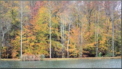 Log Cabin for 2 Guests in Kentucky, USA, Picture 2