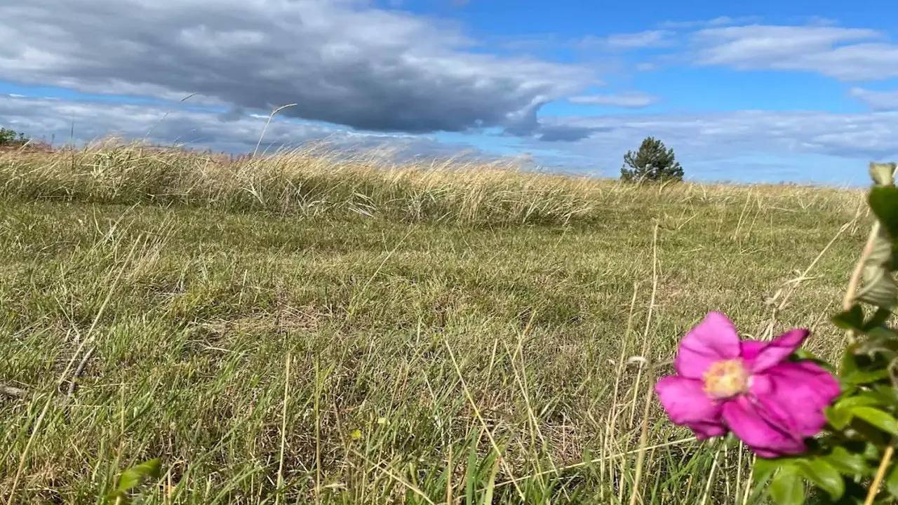 Ferienhaus für 16 Personen (184 m²) in Glesborg in Glesborg, Djursland