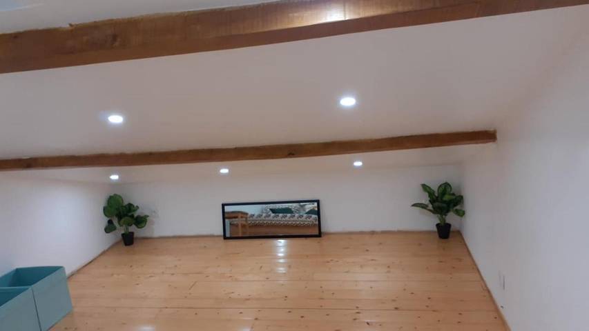 Gîte pour 3 personnes, avec terrasse ainsi que vue et jardin à Pibrac - 4