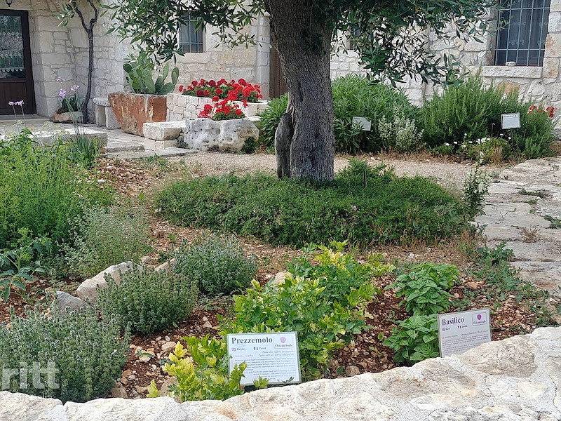 Tritt — Apartment in Martina Franca for 4 people in Locorotondo, Region de Bari