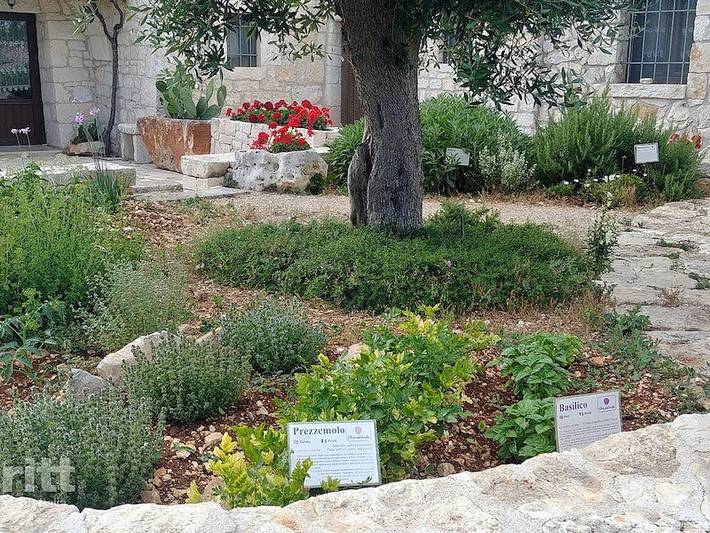 Location de vacances pour 4 personnes, avec terrasse et balcon/terrasse à Locorotondo - 4