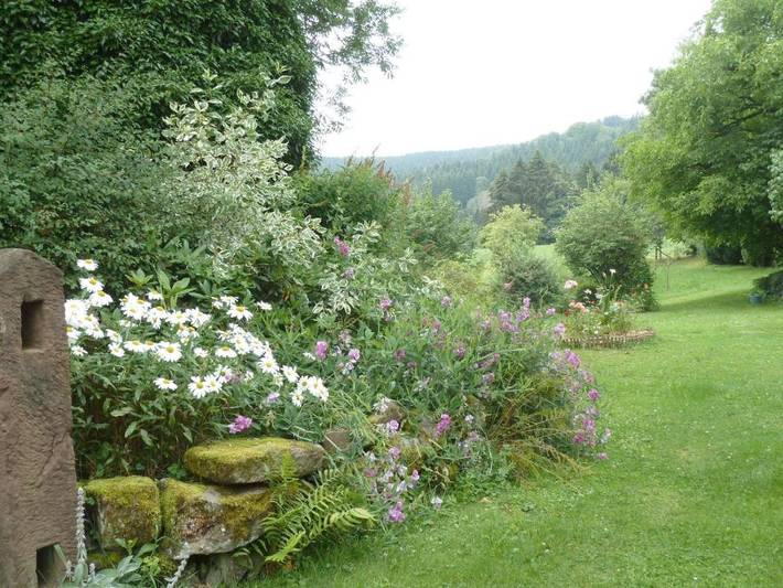 Chambre d’hôte pour 4 personnes, avec jardin et vue dans Les Mille étangs - 2