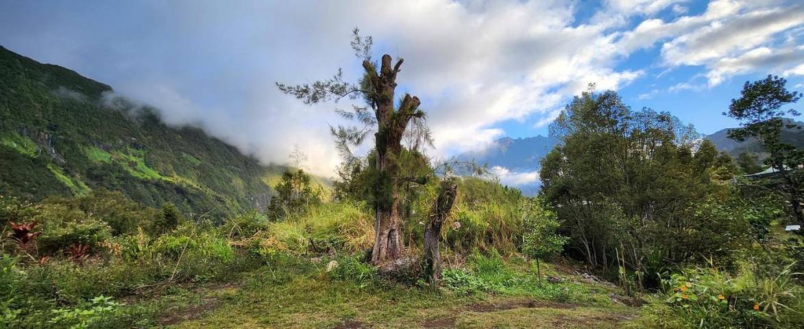 Tente pour 2 personnes, avec jardin ainsi que vue et terrasse sur l' Île de la Réunion - 3
