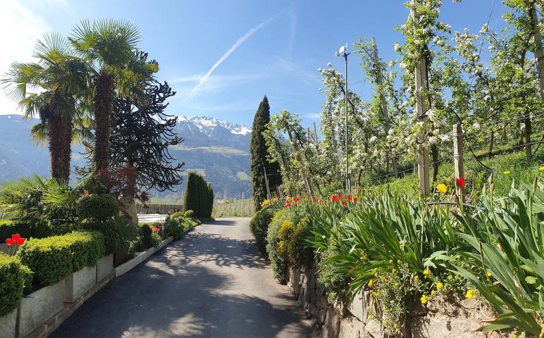Appartamento intero, Appartamento 'Himmelschlüssel' con vista montagna, piscina comune e Wi-Fi in Naturno, Gruppo Tessa