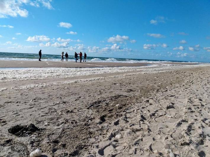 Pension voor 2 personen, met Terras en Tuin aan de Nederlandse kust