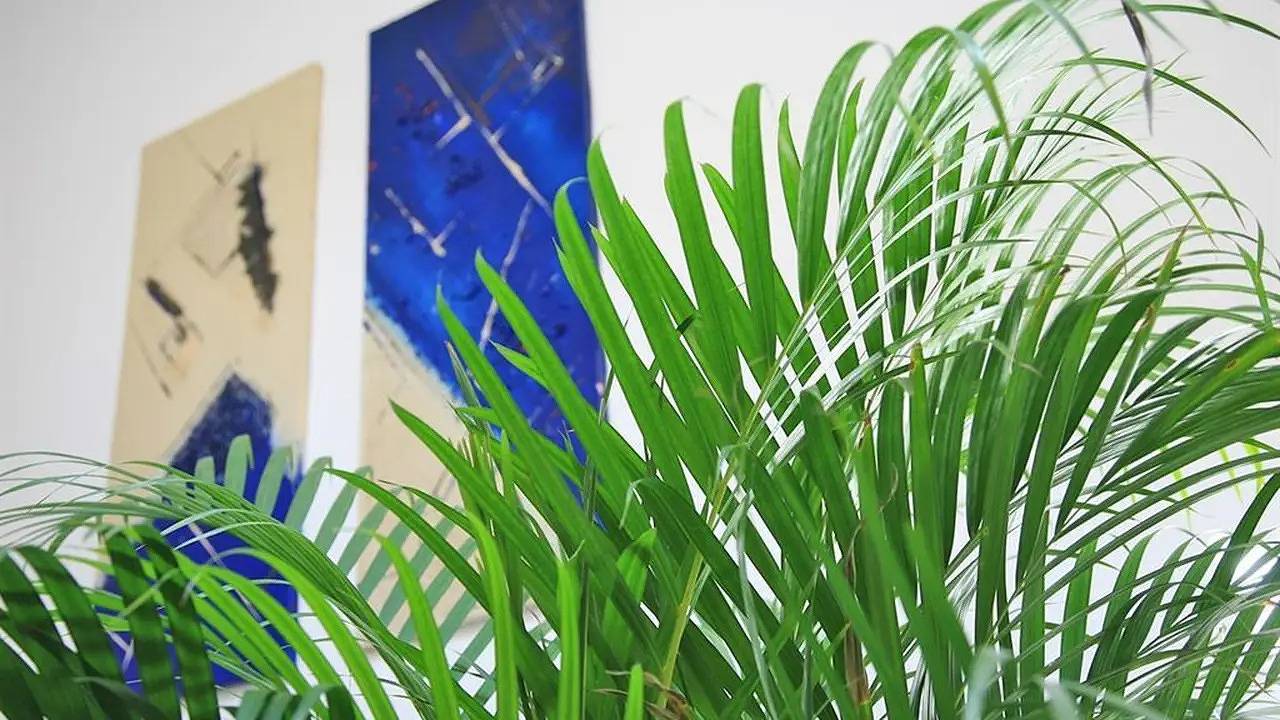 Ganze Ferienwohnung, Ferienwohnung für 3 Personen (22 m²) in Salzburg in Salzkammergut-Berge, Salzburg