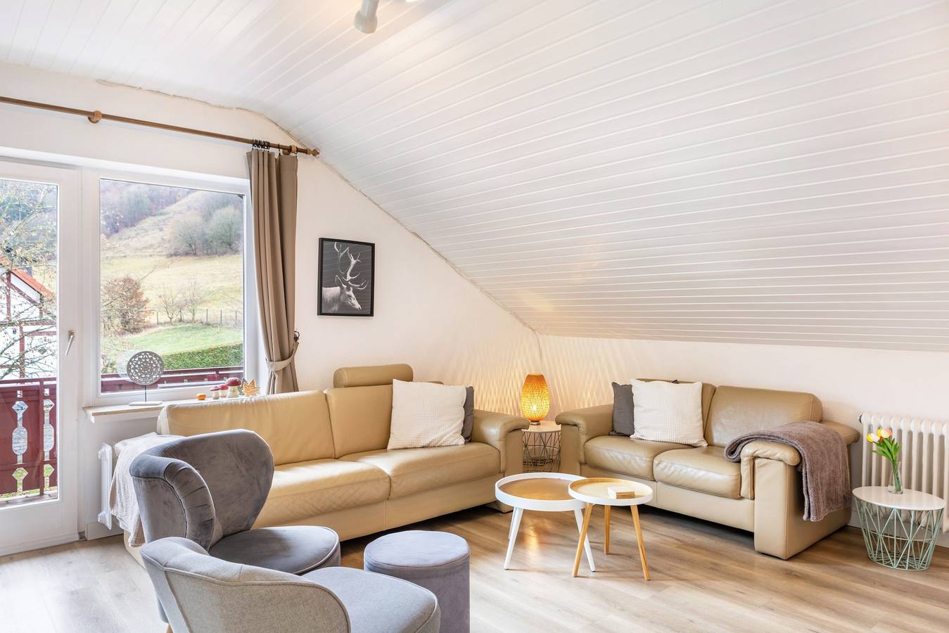 Ganze Wohnung, Apartment 'Sonnentraum' mit Bergblick, Gemeinschaftsterrasse und Wlan in Schwalefeld, Willingen