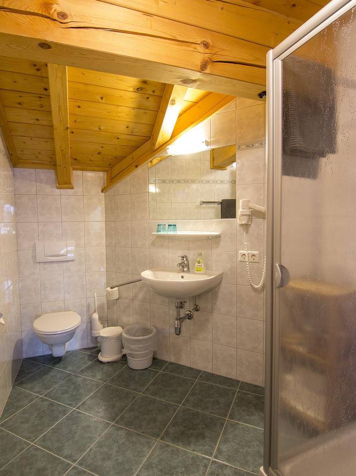 Ganze Ferienwohnung, Appartement "Typ 4" /Wohn-Schlafraum in Radstadt, Ski Amadé