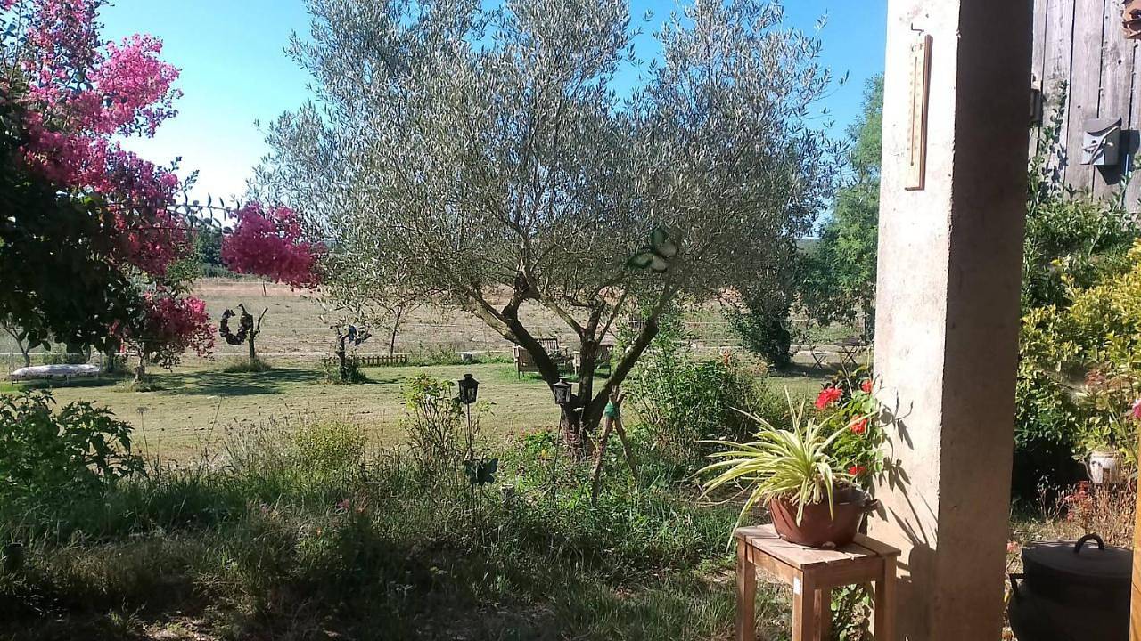 Large Double Room in Damazan, Région de Nérac