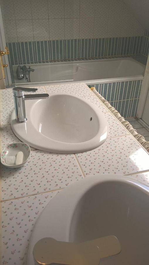 Location de vacances pour 13 personnes, avec jardin et piscine à Pluguffan - 3