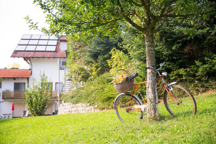 Ganze Ferienwohnung, Ferienhof Egger - Im Wiesle, 65qm, 2 Schlafzimmer, max. 4 Personen in Tettnang, Region Bodensee-Oberschwaben