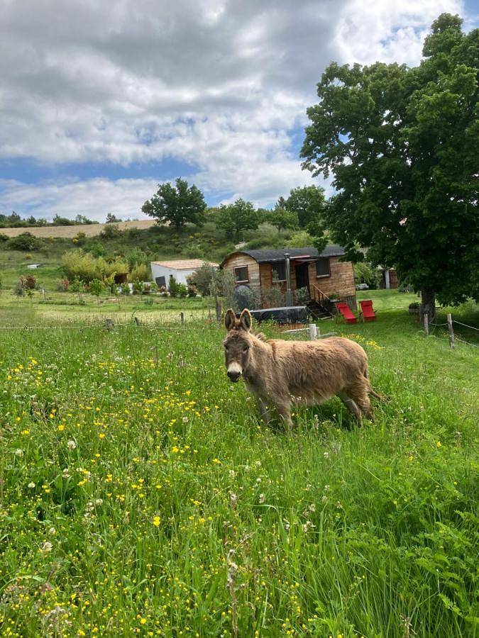 Gîte pour 3 personnes, avec terrasse et vue, animaux acceptés à Entrepierres - 2