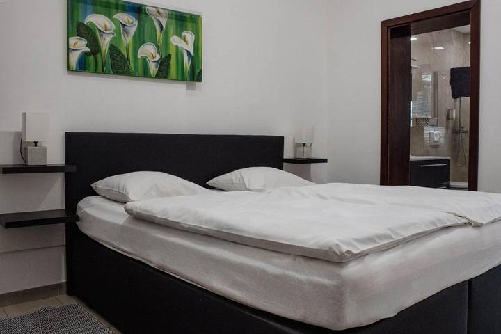 Gîte pour 4 personnes, avec vue et jardin à Maribor - 3