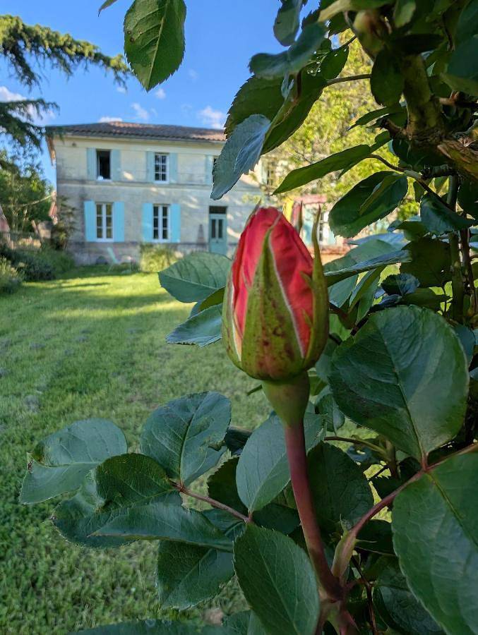 Chambre d’hôte pour 6 personnes, avec vue et jardin en Gironde - 2
