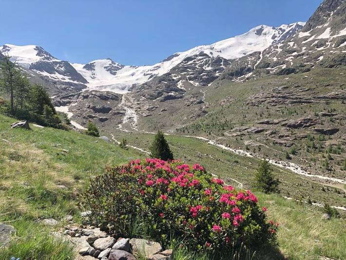 Gîte pour 2 personnes, avec jardin et vue dans Valtellina - 4