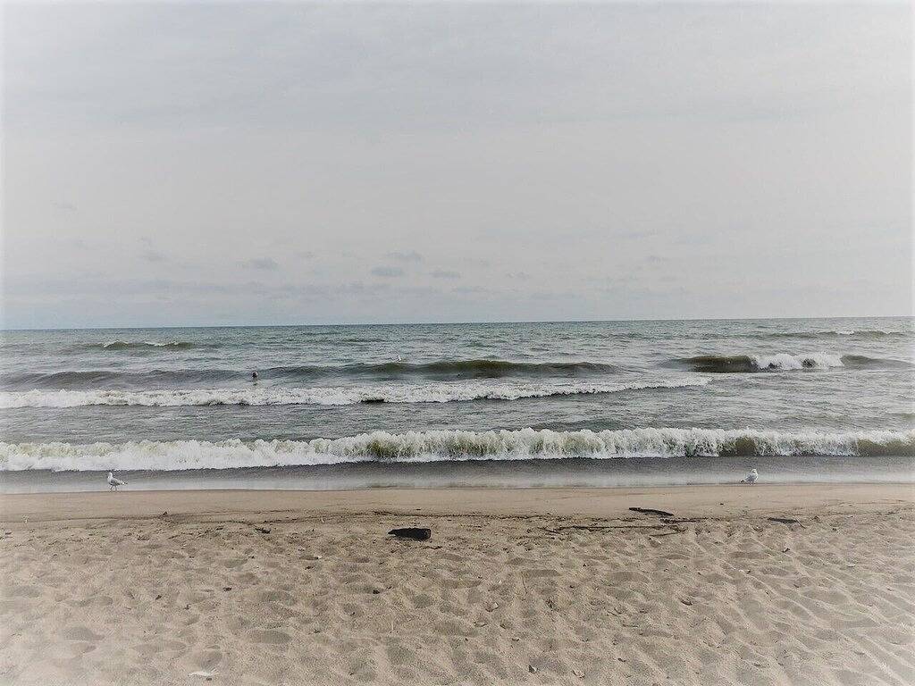 Lake Park Place : Adorable Beach Cottage in Huron, Eriesee