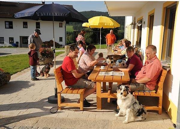 Ferienhaus für 6 Personen, mit Garten und Sauna, kinderfreundlich in Arnbruck - 2