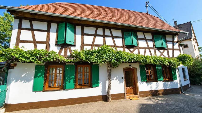 Location de vacances pour 8 personnes à Molsheim - 2