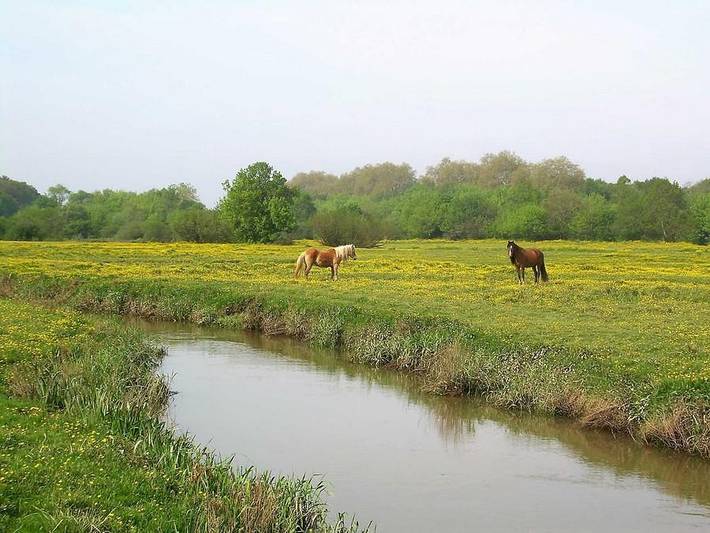 Gîte pour 4 personnes, avec terrasse à Orist - 3