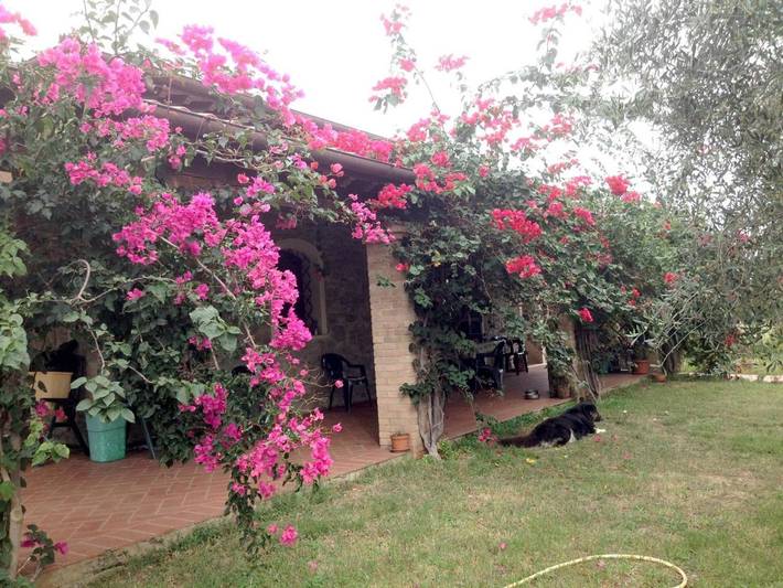 Casa vacanza per 4 persone, con panorama e giardino nonché piscina, con animali domestici in Girasole