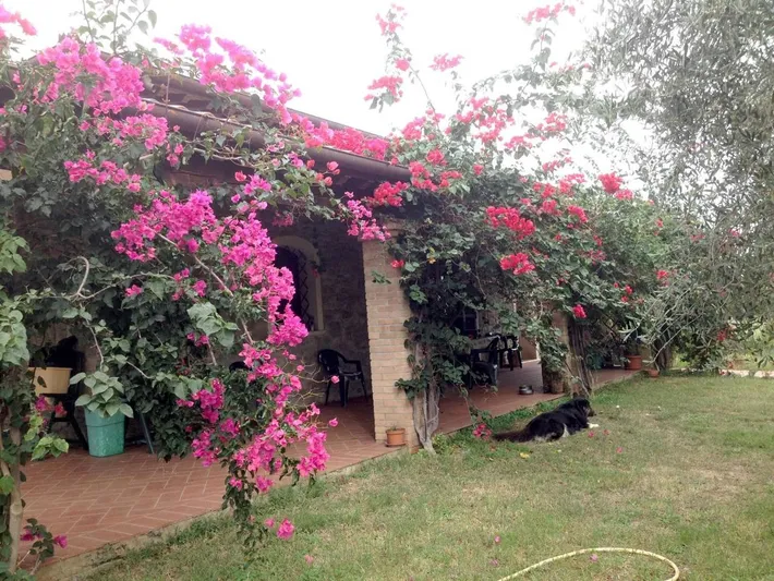 Casa vacanza per 5 persone, con piscina e giardino nonché panorama, con animali domestici - 1