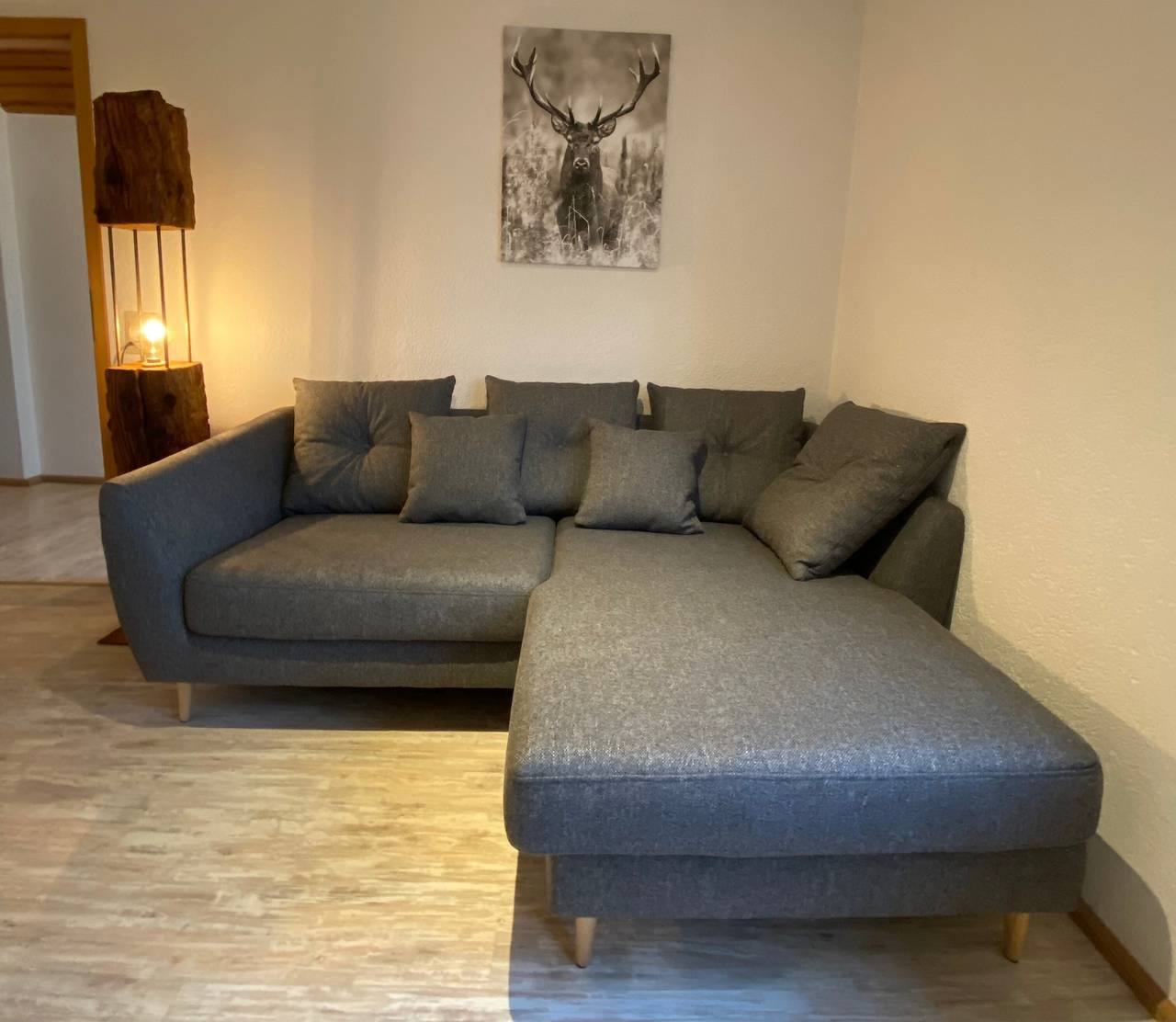Ganze Wohnung, Ferienwohnung 'Schwarzwaldnest' mit privater Terrasse und Gemeinschaftsgarten in Dachsberg, Südschwarzwald