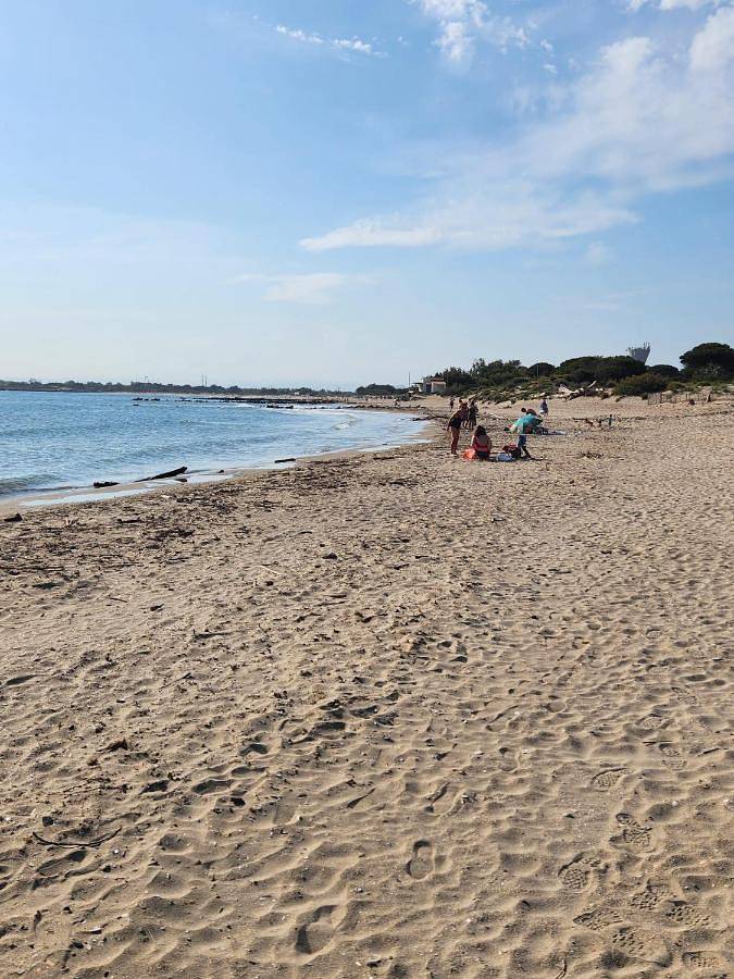 Gîte pour 3 personnes, avec vue dans la Tamarissière - 4